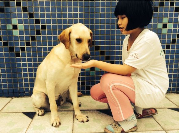 狗狗能不能吃溏心鸡蛋,狗狗肾衰竭可以吃鸡蛋吗