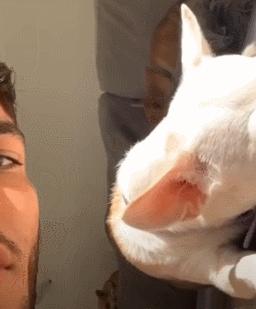 第一次人机大战电影,第一次人机战争