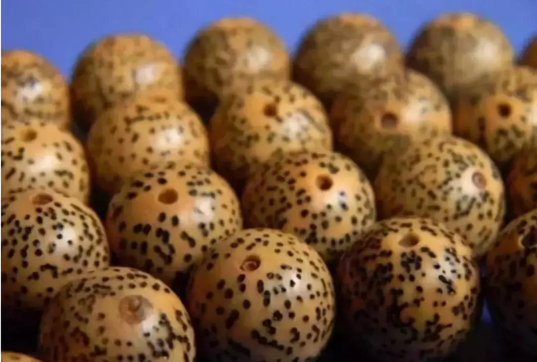 最全的菩提子图解太美了,最好的菩提子