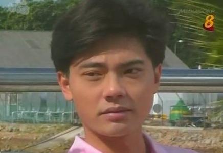 白玉川最爱的电视剧,新加坡电视剧莲花争霸白玉川