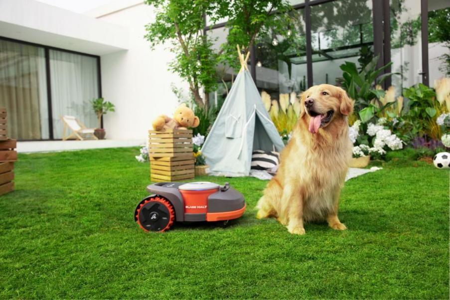 璧涙牸濞佸壊鑽夋満,璧涙牸濞佸壊鑽夋満鍣ㄤ汉浠锋牸