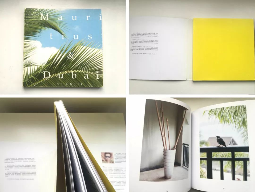 自己做一本画册有什么素材,怎样出一部自己的画册