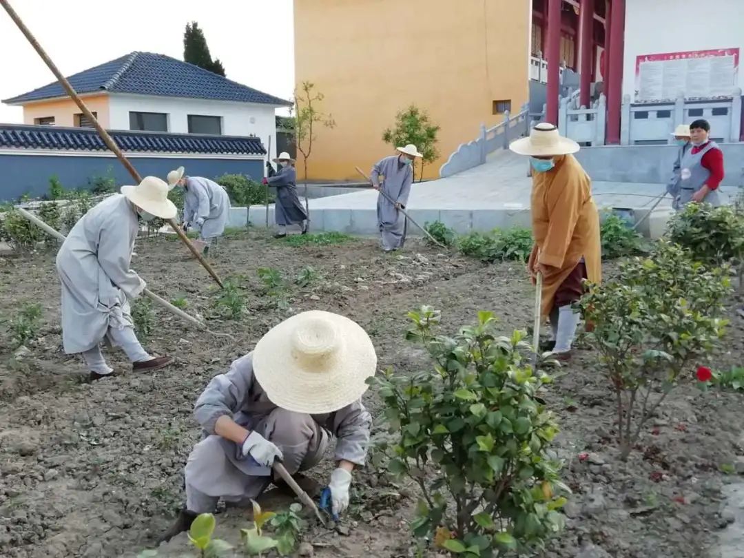 抢抓农时开展农业生产,农民纷纷抢抓春耕生产有利时机