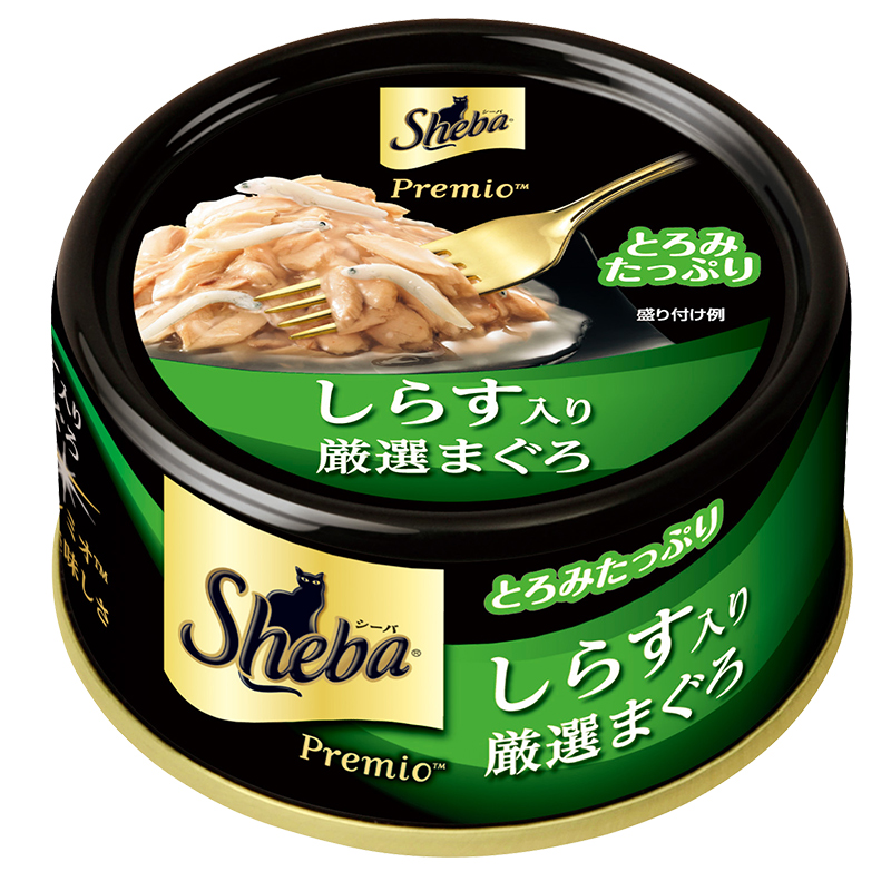 推荐买的十种猫,几百块推荐养的猫