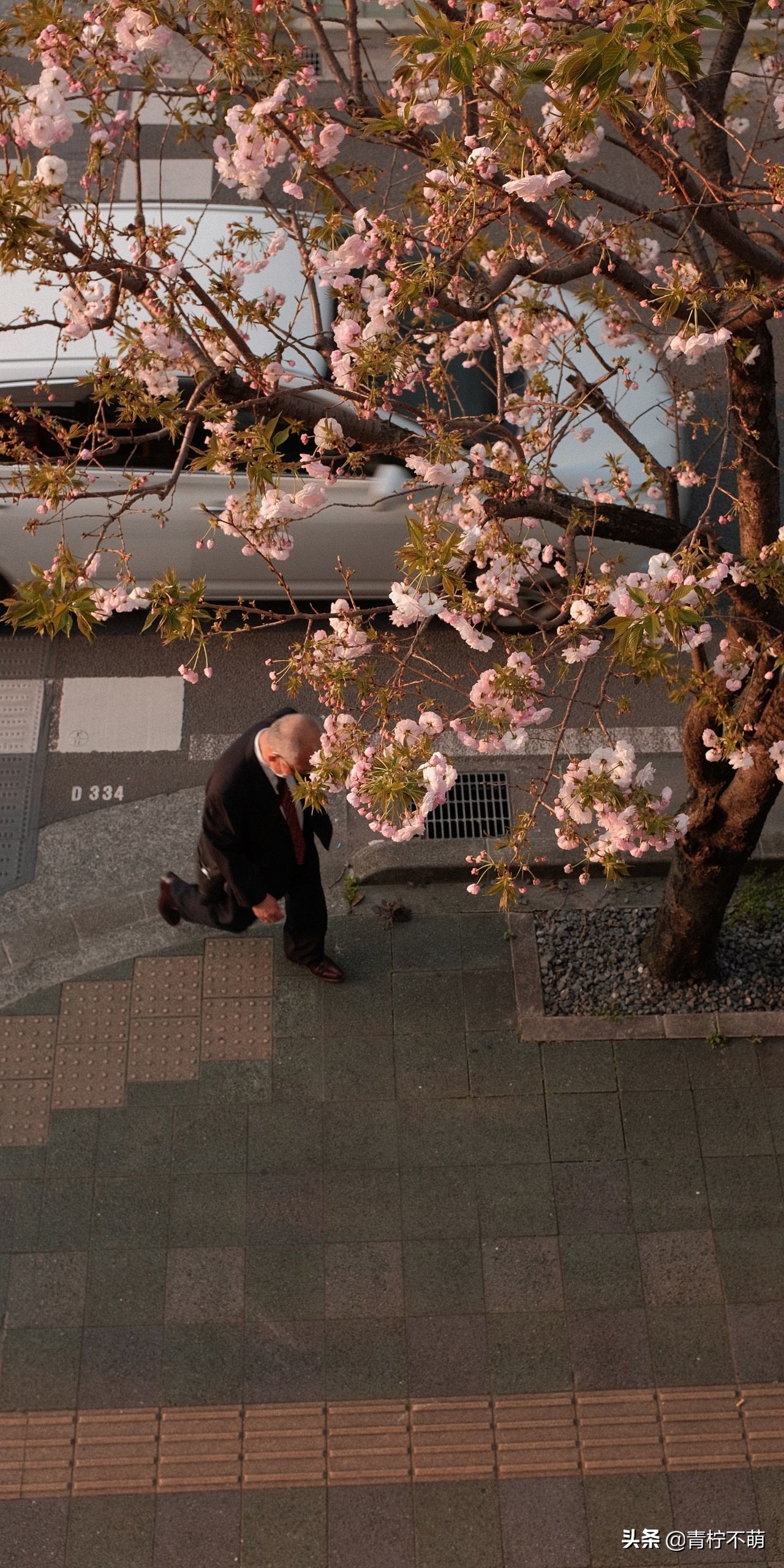 苹果13原装高清壁纸4k全屏无水印,4k超清壁纸1080p无水印全屏苹果