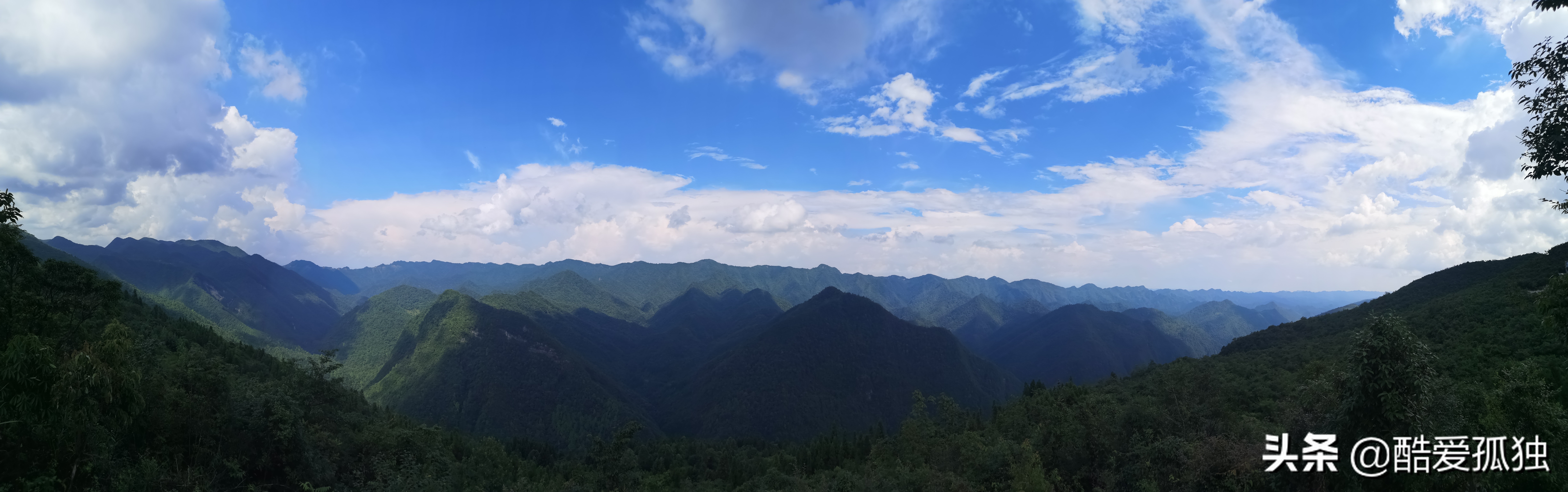 荣放双擎四驱精英plus放一夜没电,2.5荣放双擎plus和探岳四驱智联