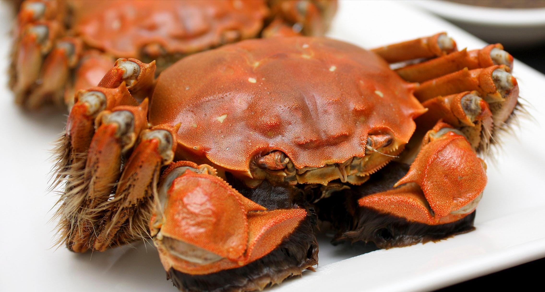 上海米其林好吃的粤菜,上海必吃米其林推荐餐厅