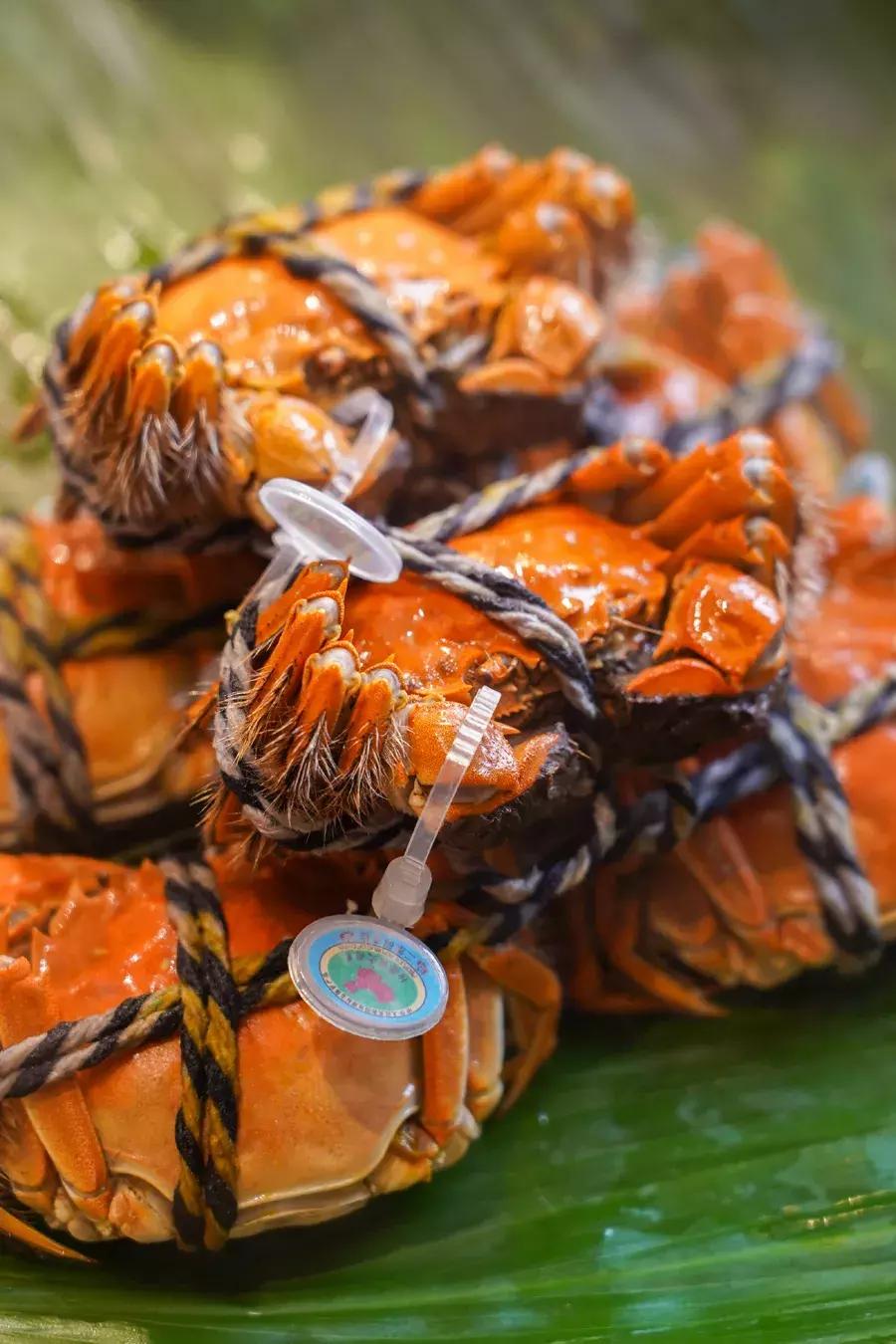 康得思自助餐厅蟹宴,金秋美味的大闸蟹盛宴