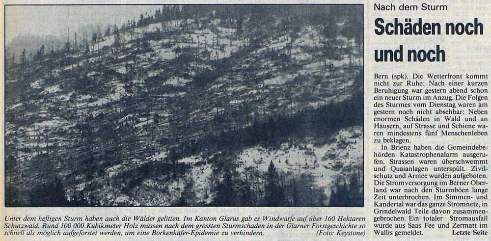 大型树移植机器,日本移植树机器