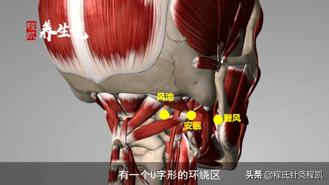 程凯养生说：头昏、眼花、耳鸣就用这个穴位