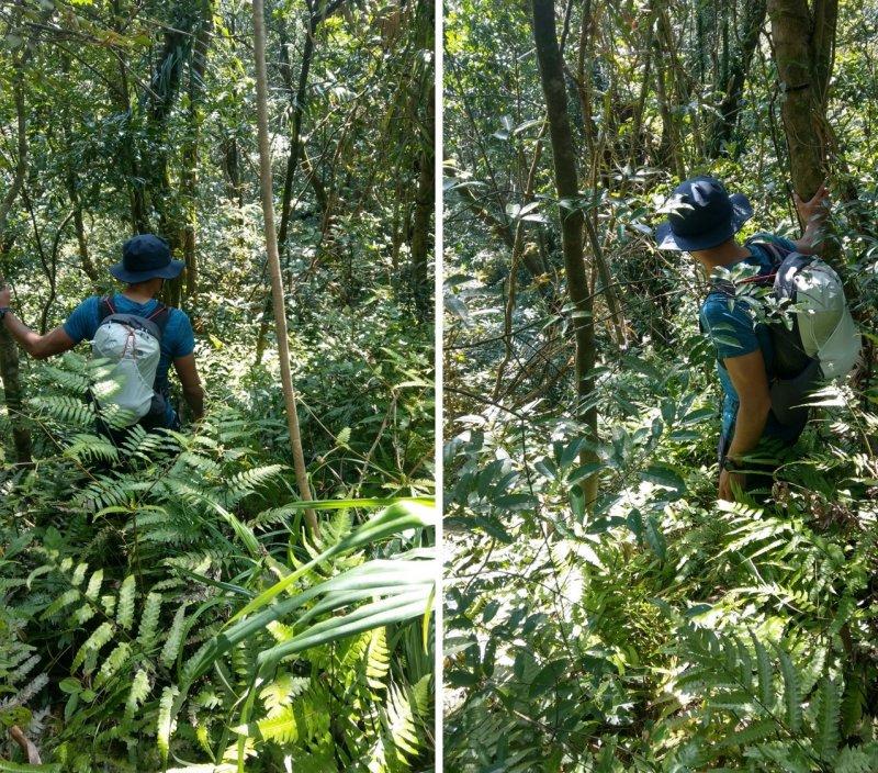 北面徒步鞋专业级和高性价比,北面徒步鞋thenorthface怎么样