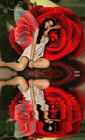 神秘的水中花,趣味神奇的水中花