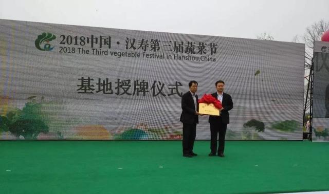 花卉蔬菜制作教程,花卉怎么做