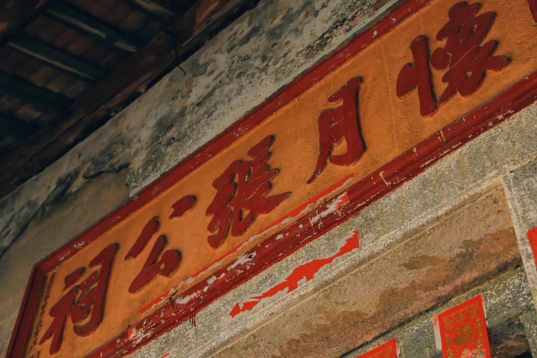 漫游东游西荡,漫游深圳城市