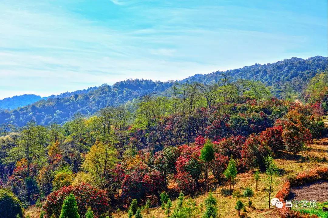 澜沧江梅里大峡谷景观,澜沧江大峡谷美景