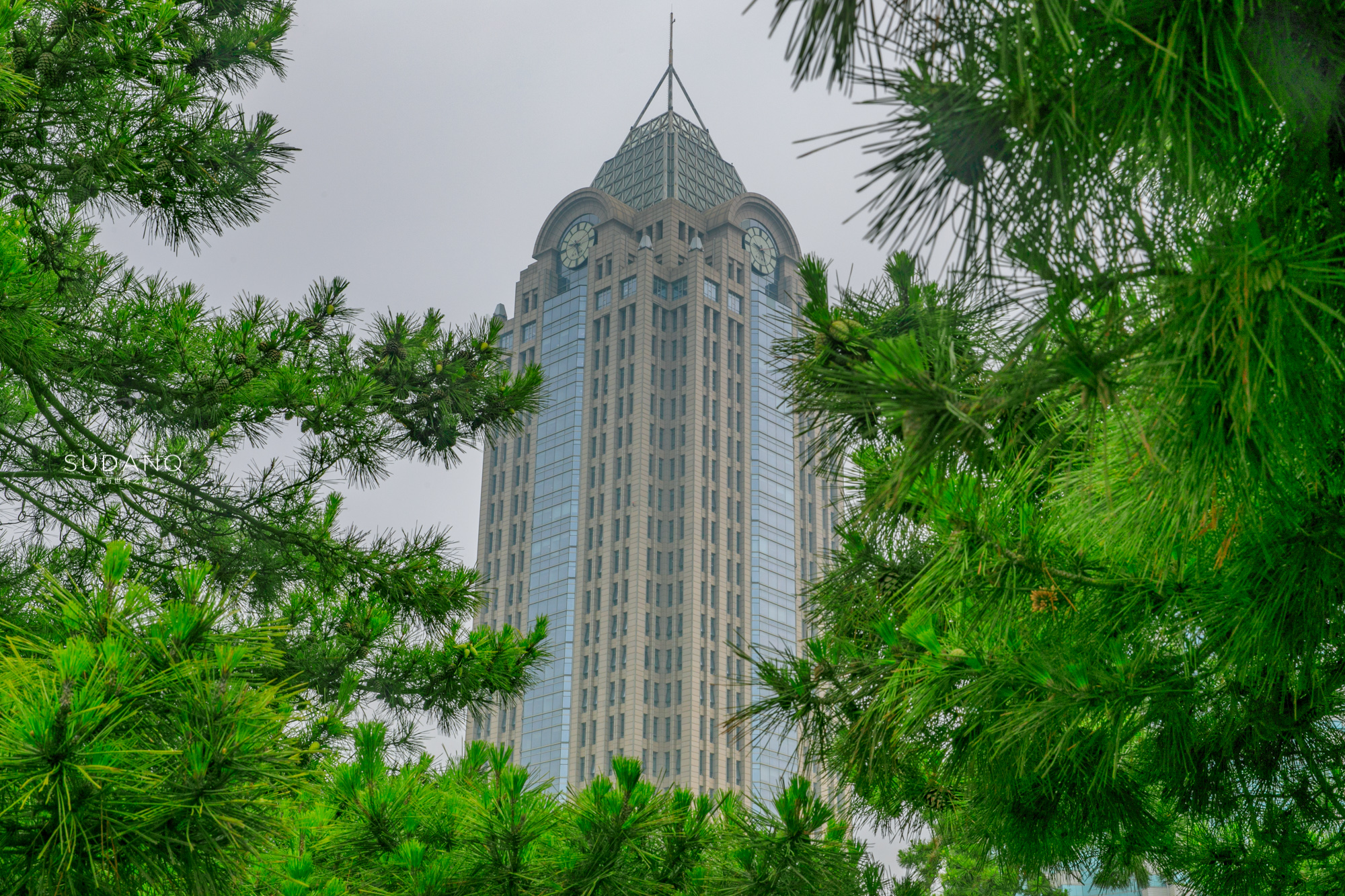 青岛是山东的省会,青岛经济超过山东的城市