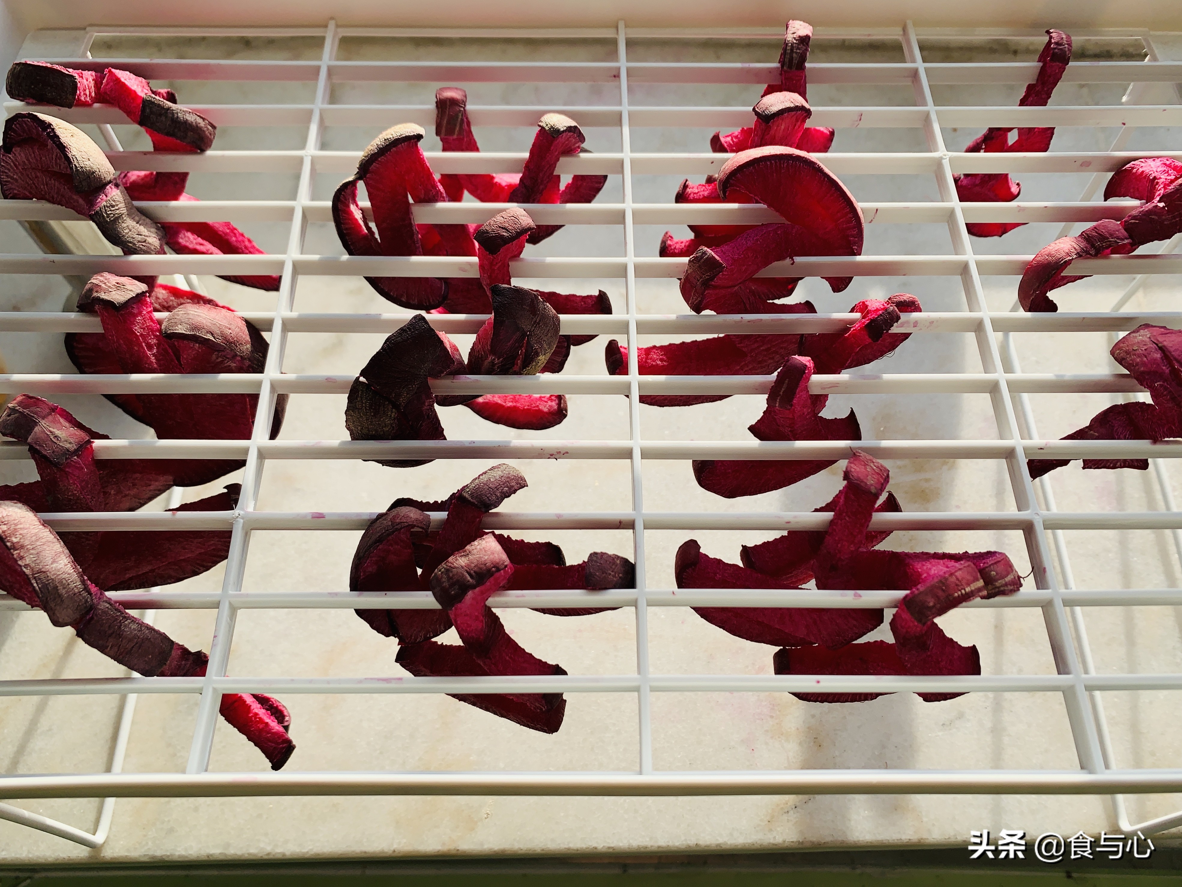 每日健康美食101种,一周健康营养美味食谱