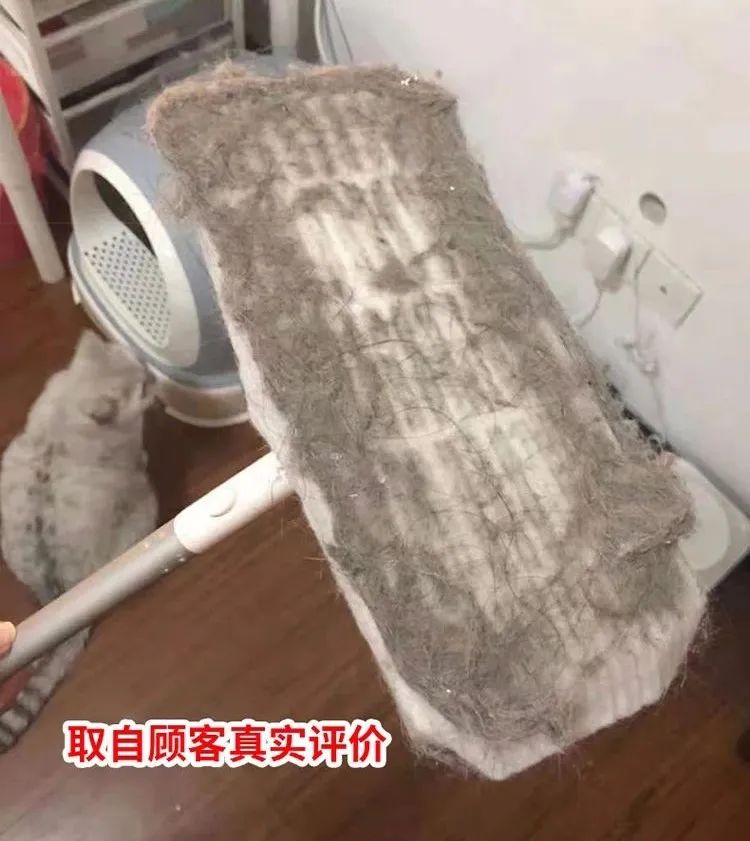 家里扫地有毛絮怎么清洁,天天扫地