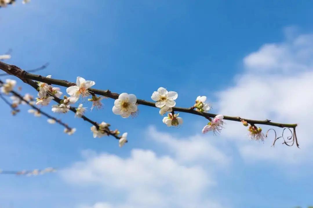 广州花都公园景点地图 (花都旅游景点分布图高清版)