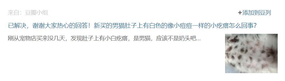 我差一点，让猫咪痛失乳头