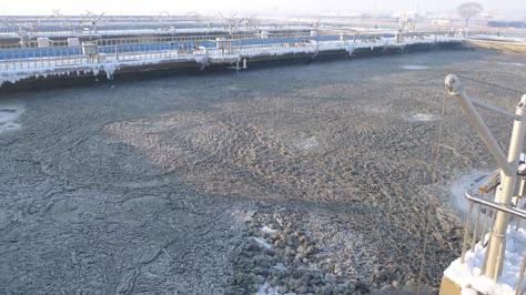 污泥中毒的表现有哪些,污泥中毒之后的正确处置方式