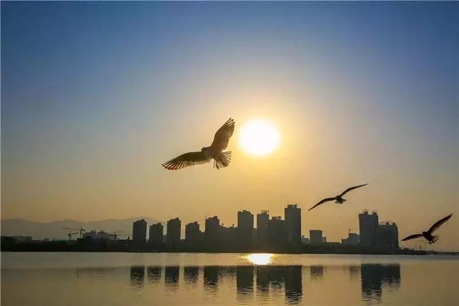 汉台半日游,汉台区一日游
