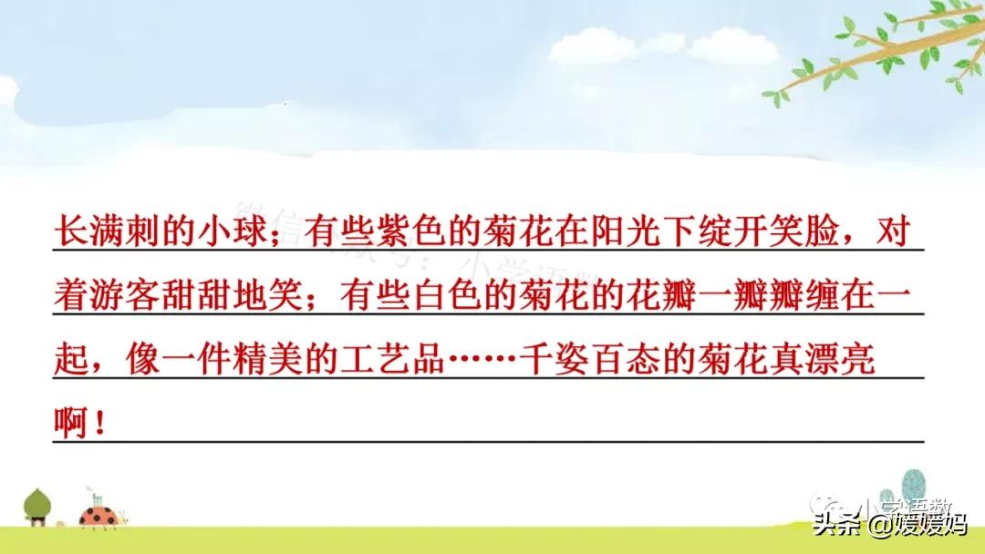 三年级第18课富饶的西沙群岛预习,3年级语文第18课富饶的西沙群岛