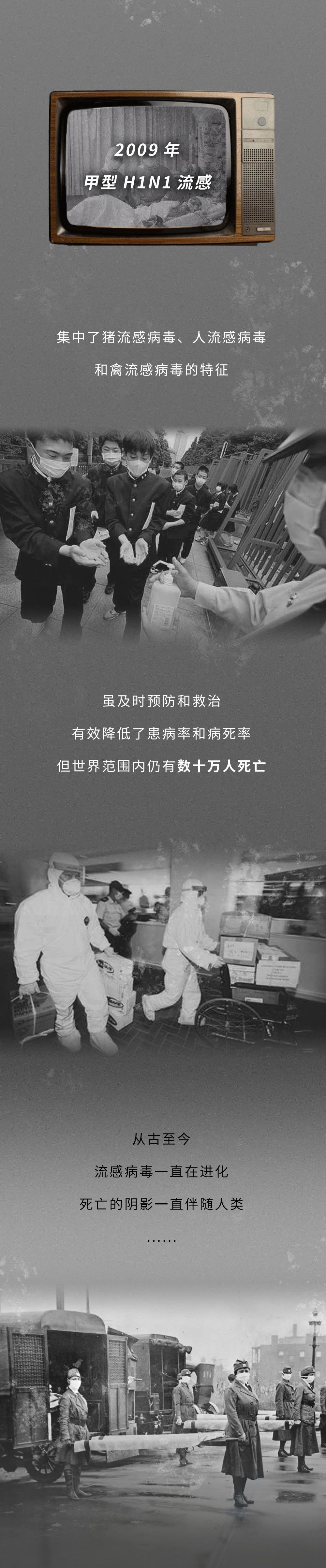 一张图读懂流感病毒的真正可怕之处