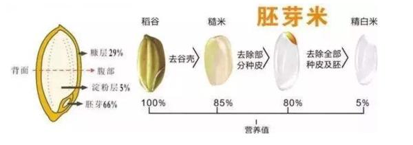商用智能电饭煲怎么使用,球釜智能电饭煲使用方法