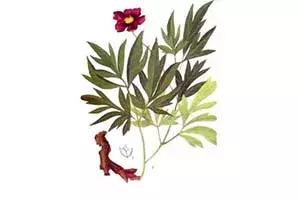 中医治疗脱发食疗秘方,熬夜多梦脱发中医辨证论治