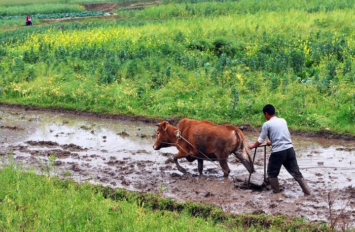 行测言语理解方面的成语怎么学,行测必背的成语