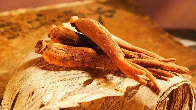 真味|啃根硬骨头,谈谈人参