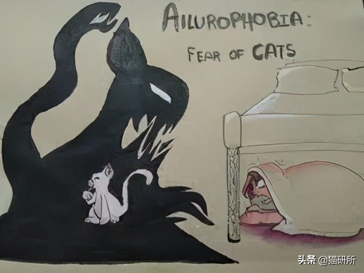 为什么猫咪那么傲娇还有人喜欢,猫咪这么可爱怎么有人舍得伤害