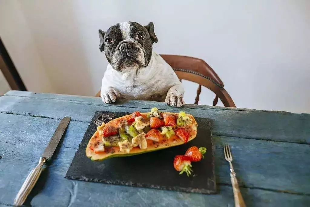 狗狗的食物里面能放点食用盐吗,狗狗喂狗粮能用盐吗