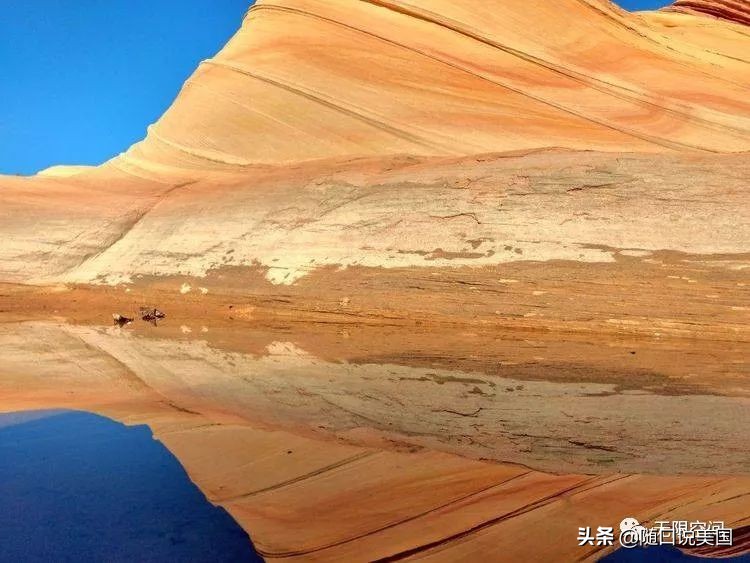 荒野乱斗流彩伊芙强度,荒野行动榴弹怎么用