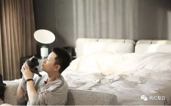 李小璐贾乃亮离婚是真的假的,李小璐贾乃亮离婚协议书全文