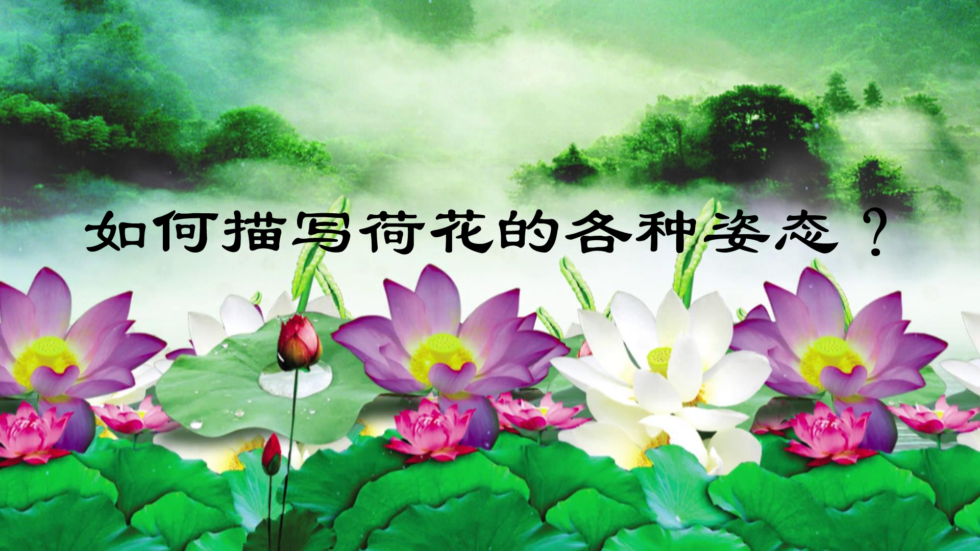 描写荷花有修辞手法的句子,对比的修辞手法描写荷花