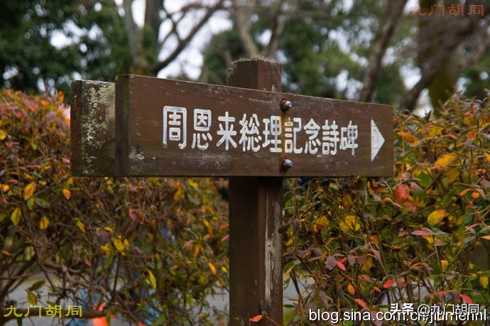 京都岚山风景区在哪,京都岚山樱花