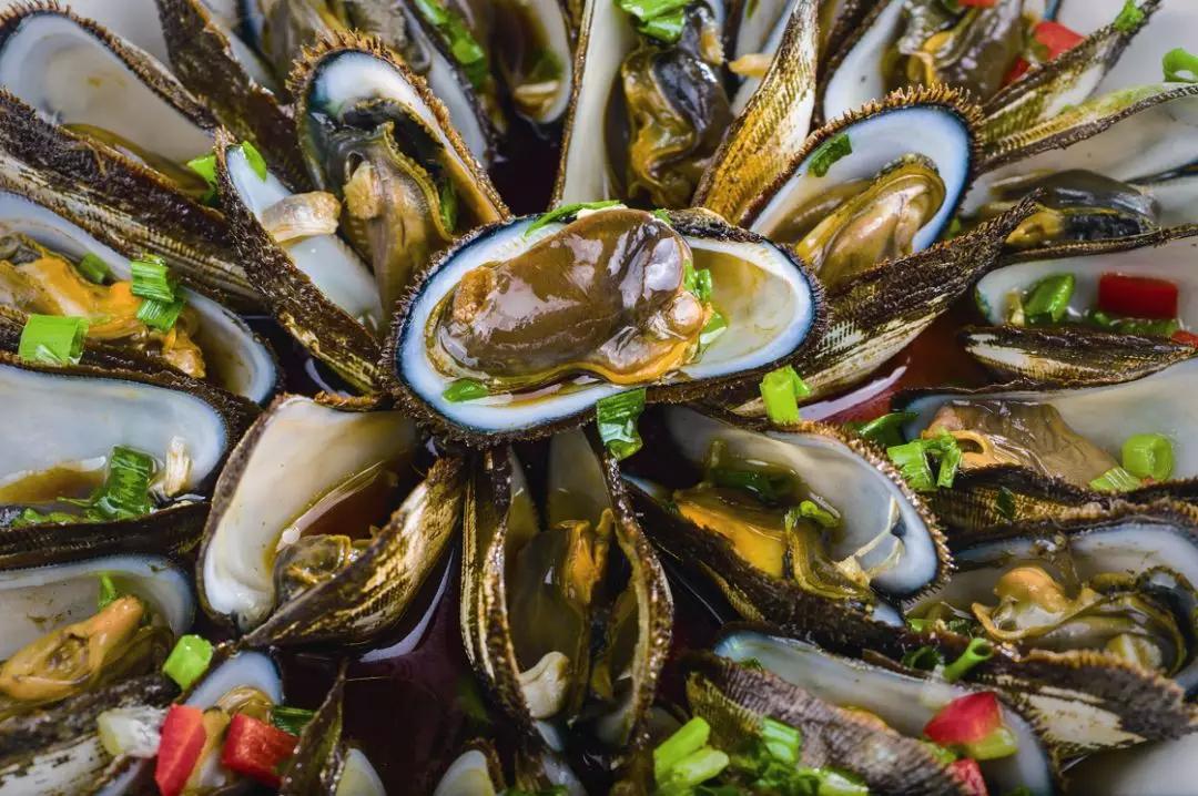 禁渔期间去海边旅游,海边禁渔期适合去旅游吗