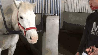 游记|来和兴吧!这里的美景美食每一样都超skr~