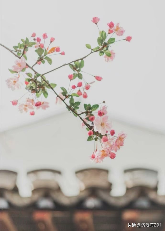 南乡子冯延巳表达了什么,冯延巳南乡子细雨湿流光