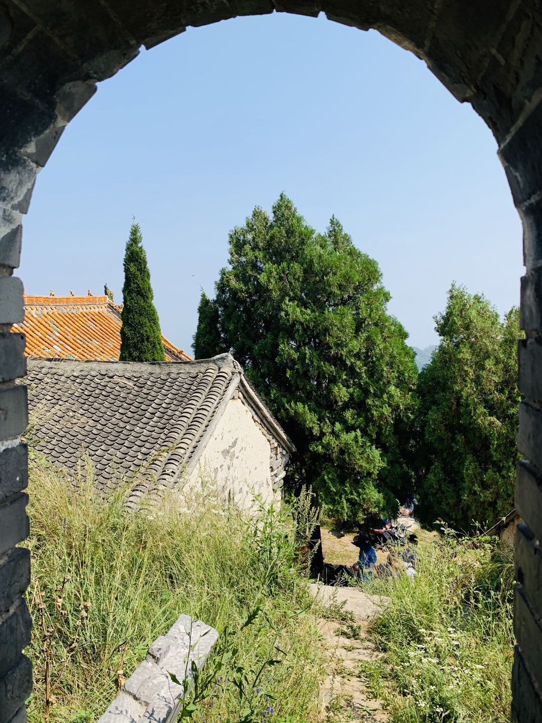 郑州最近山顶草原,离郑州自驾最近的大草原有哪些