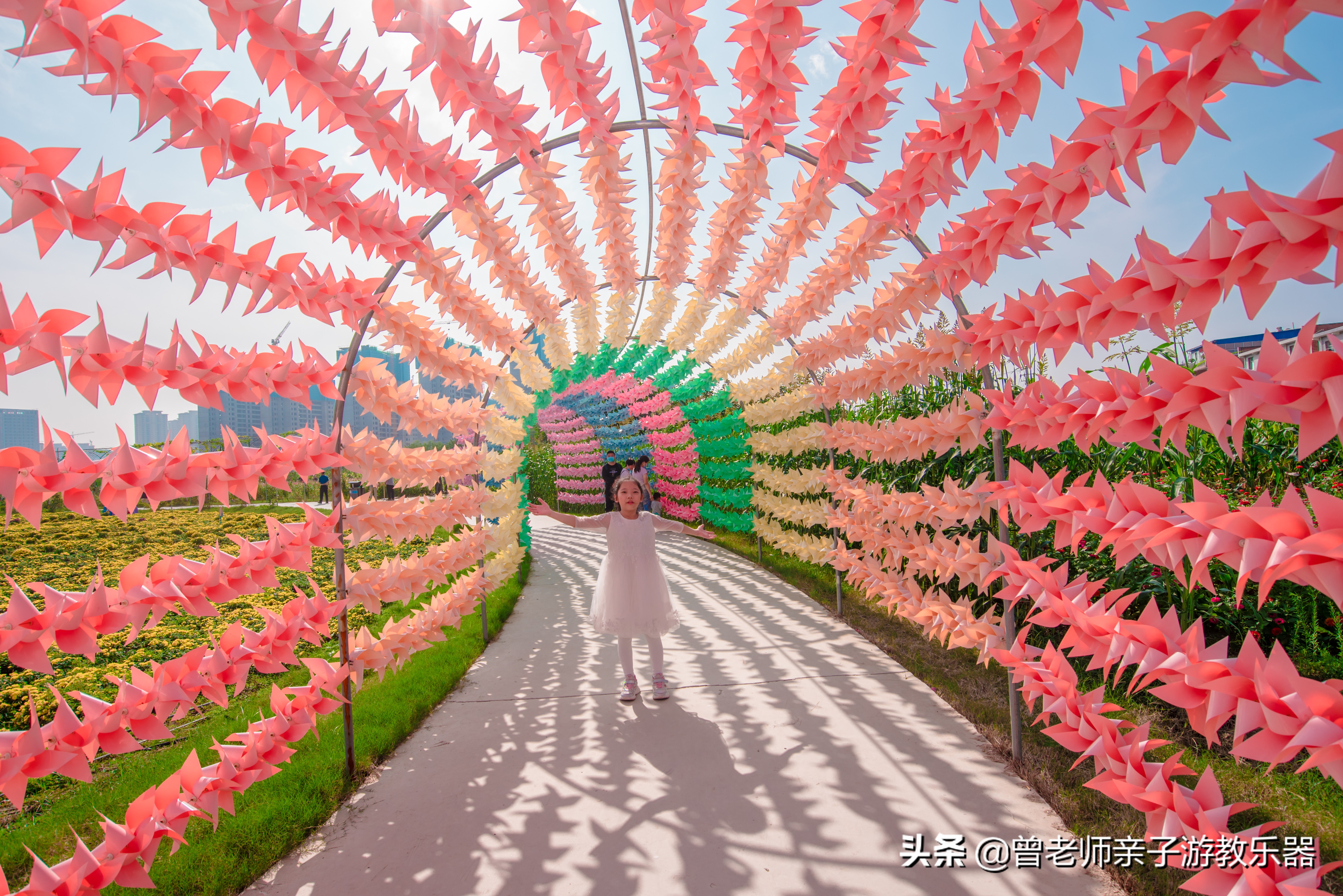 西安菊花节9.9元门票,爱菊菊花节怎么去