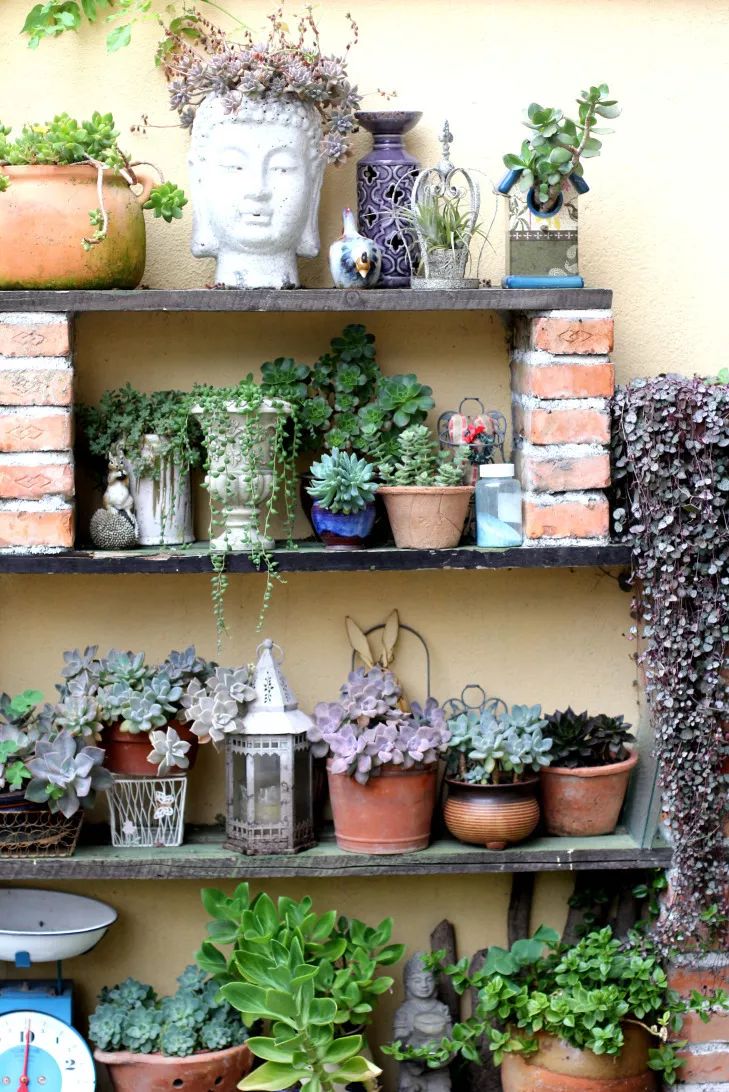 一个重度搪瓷爱好者的杂货花园