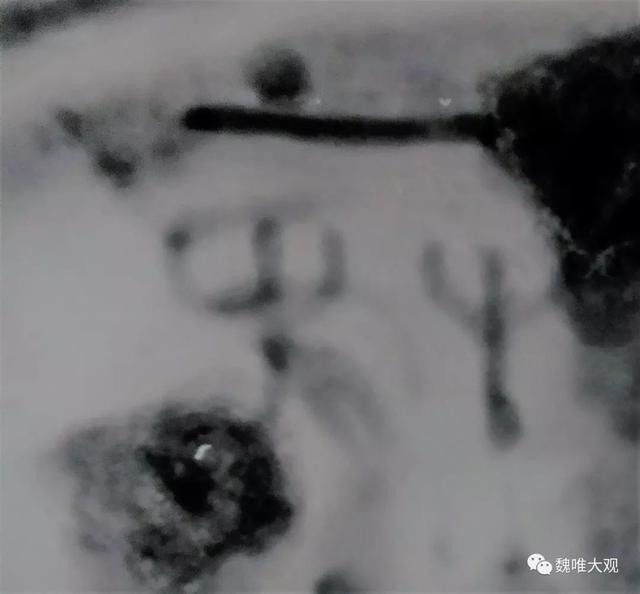 虎鎣yíng,一鎣的三世三生