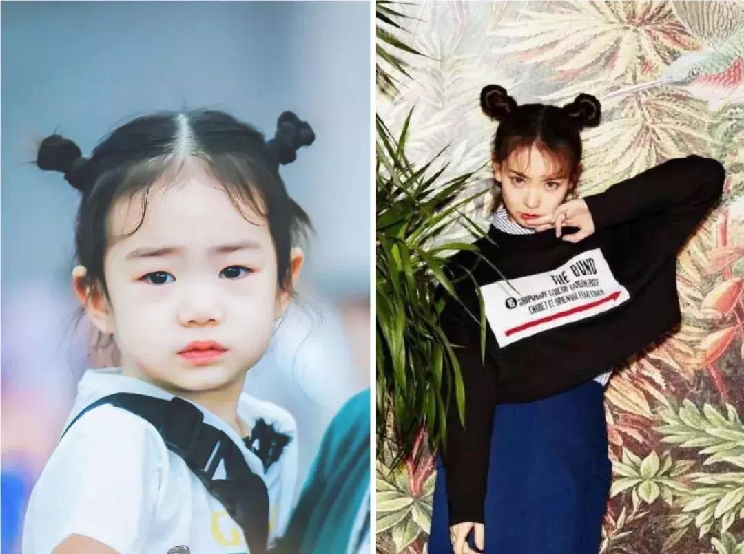 泰迪刘海怎么剪好看,今年超火的泰迪刘海你值得拥有