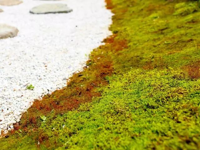 拈花湾历史背景,拈花湾景区的故事