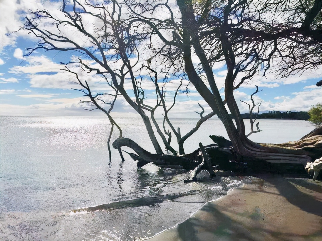 夏威夷的冬天简谱,夏威夷的冬天