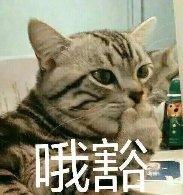 现在二手车车价贵了多少,现在二手车价值