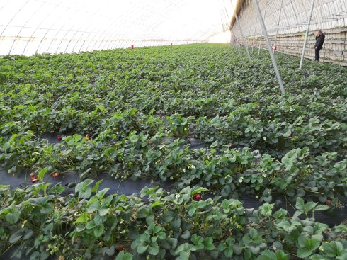 遵化福泉宫温泉度假村,遵化福泉温泉门票团购